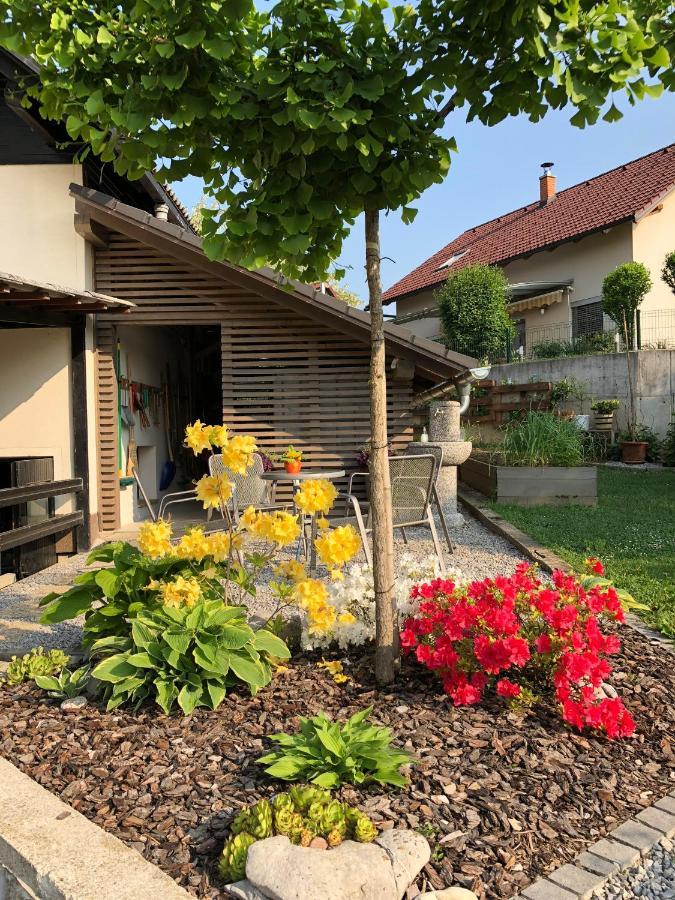 Apartma Nomad Novo Mesto Ngoại thất bức ảnh
